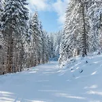 Almbauer Morgenbesser * Trattenbach (Lower Austria)