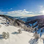 Almbauer Morgenbesser Lägenhet Trattenbach (Lower Austria)