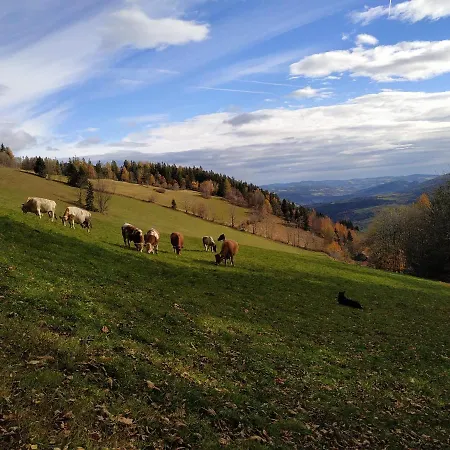 Apartman Almbauer Morgenbesser