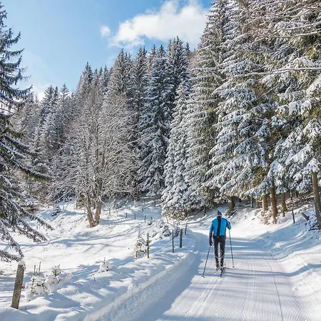 Almbauer Morgenbesser Апартаменты Trattenbach (Lower Austria)