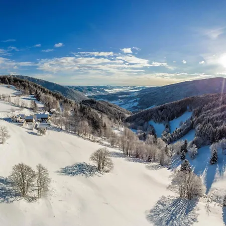 Almbauer Morgenbesser Apartment Trattenbach (Lower Austria)