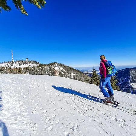 Apartment Almbauer Morgenbesser *