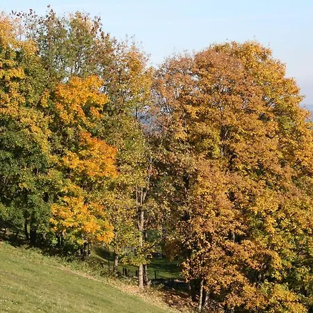 Almbauer Morgenbesser *