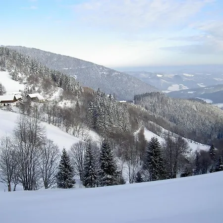Almbauer Morgenbesser Apartman Trattenbach