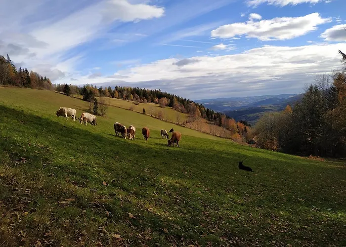 Apartman Almbauer Morgenbesser