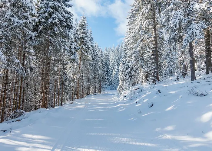 Almbauer Morgenbesser * Trattenbach