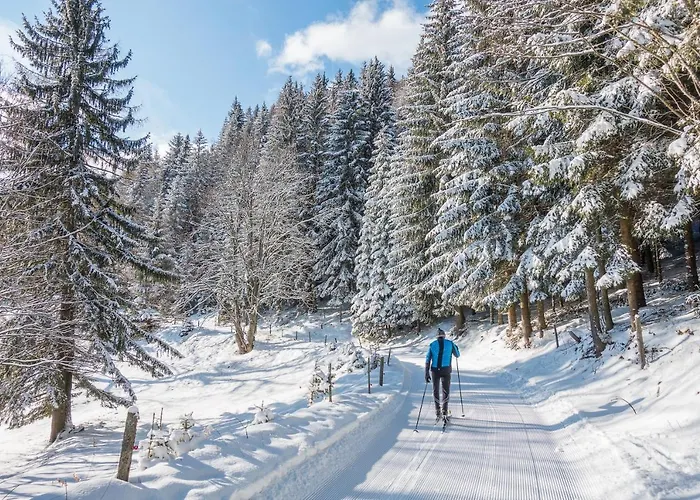 Almbauer Morgenbesser Apartment Trattenbach (Lower Austria)