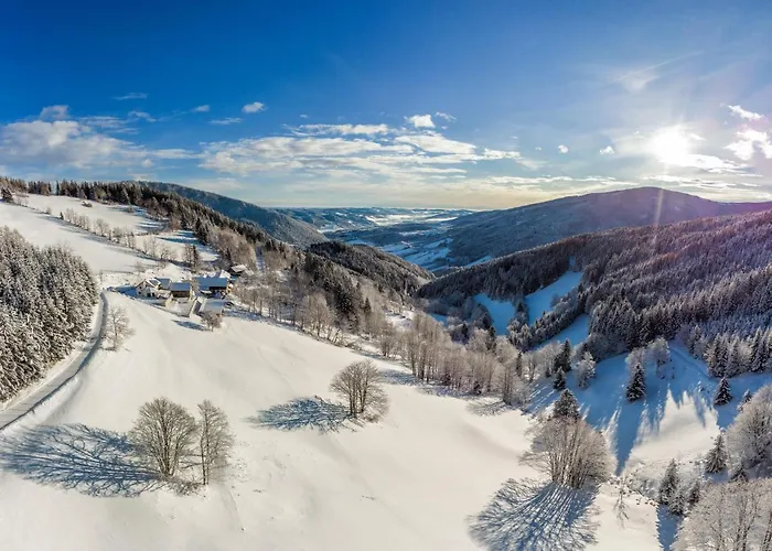 Almbauer Morgenbesser Apartment Trattenbach (Lower Austria)