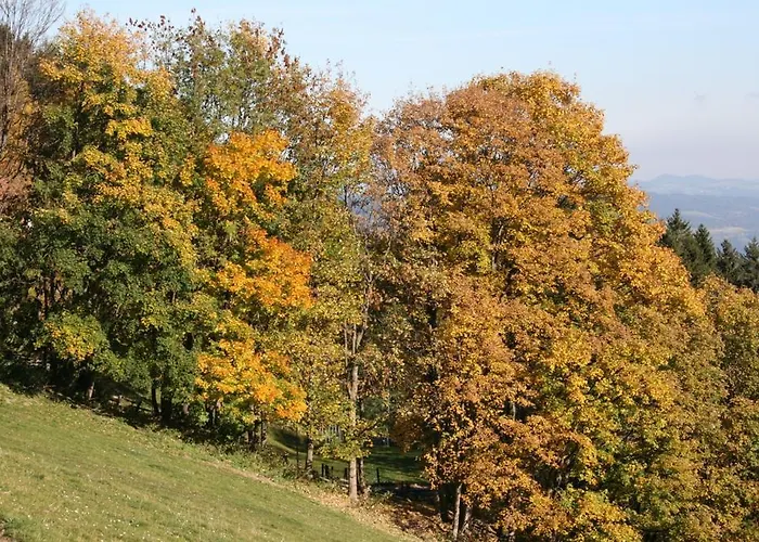 Almbauer Morgenbesser *