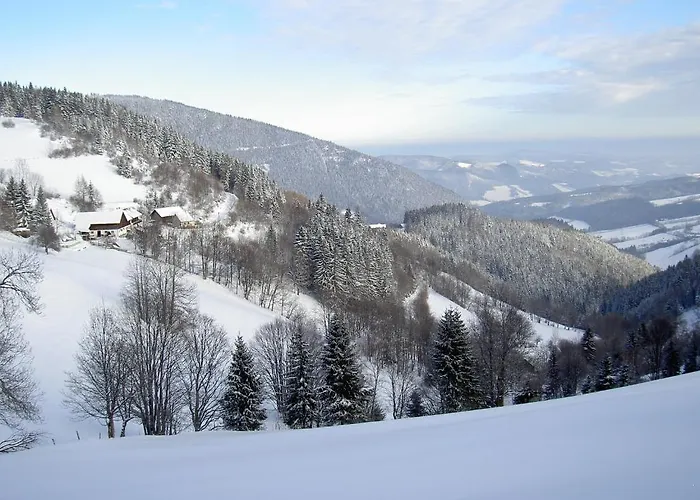 Almbauer Morgenbesser Apartman Trattenbach